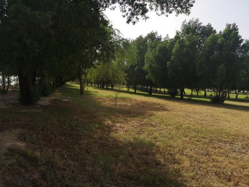 عکس بوستان زردشت