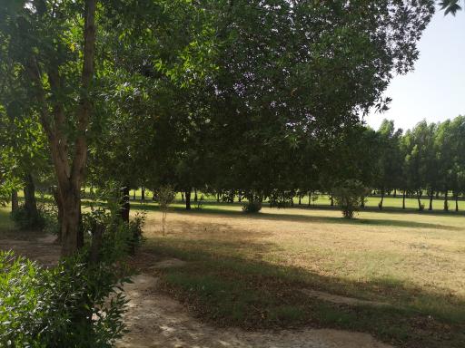 عکس بوستان زردشت