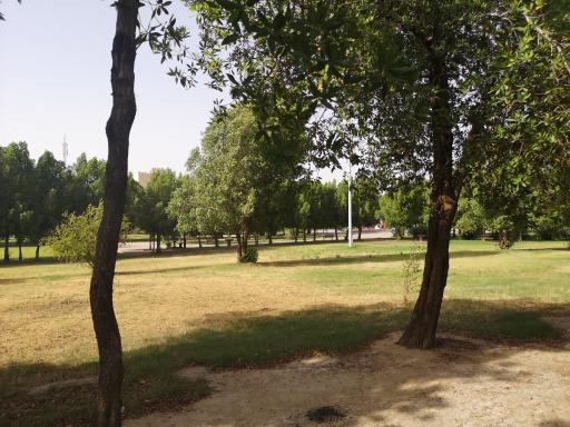 عکس بوستان زردشت