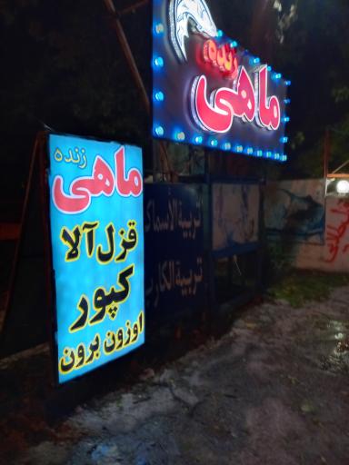 عکس فروشگاه و مزرعه ماهی آبی