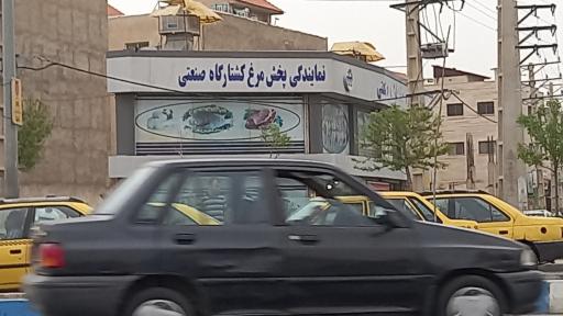 عکس نمایندگی پخش مرغ کشتارگاه صنعتی