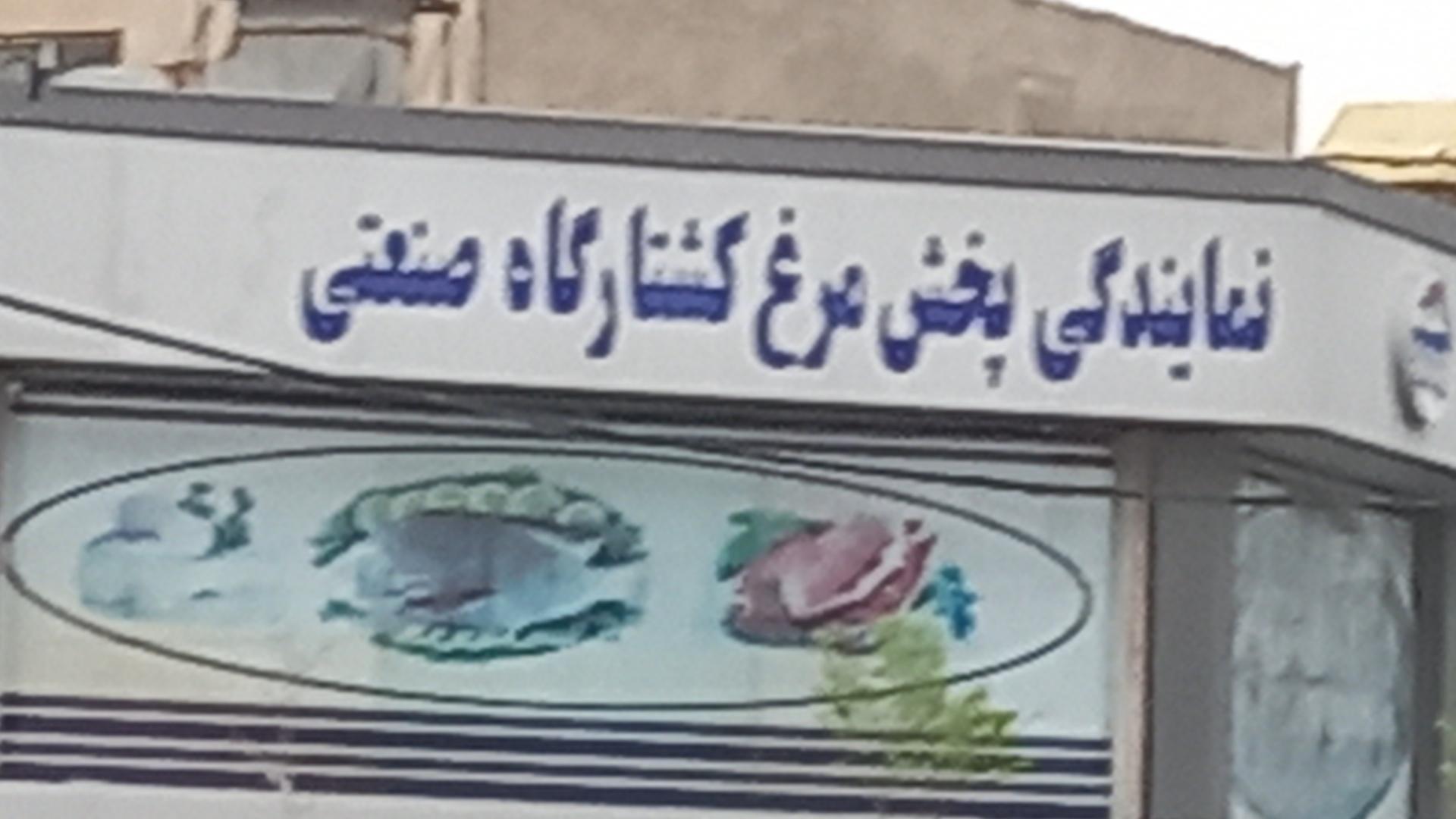 عکس نمایندگی پخش مرغ کشتارگاه صنعتی