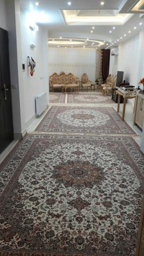 عکس قالیشویی پایدار 