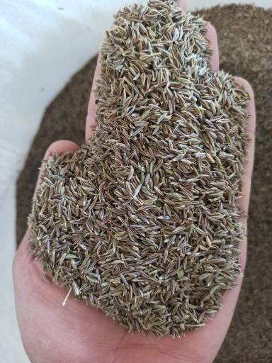 عکس پخش گیاهان دارویی و ادویه جات سرای عطار 