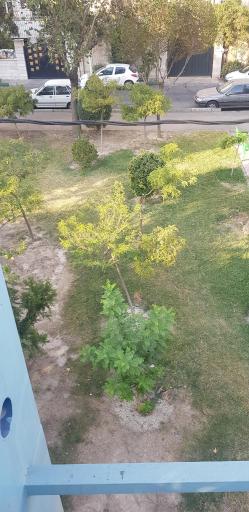 عکس پارک دهاقین