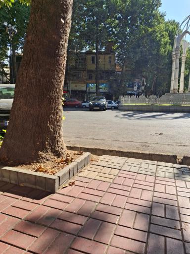 عکس لبنیات فتحعلی