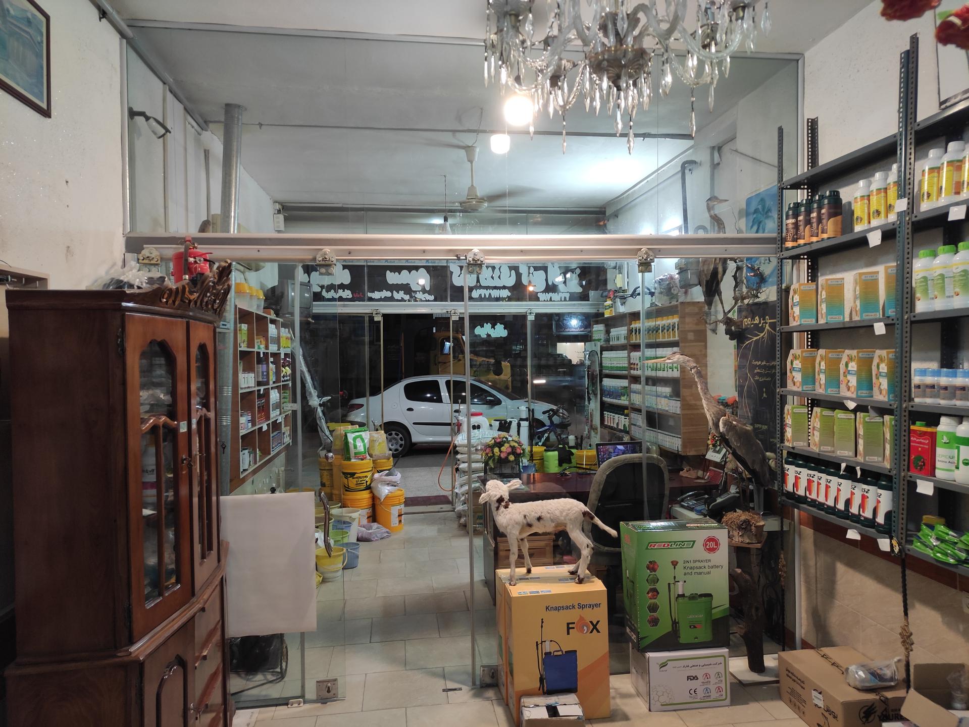 عکس داروخانه گیاه پزشکی علیزاده