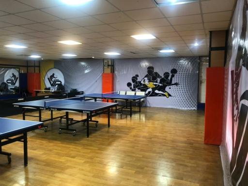 عکس آکادمی تنیس روی میز VIP