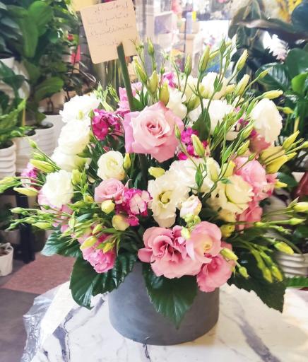 عکس گلسرای خانم گل