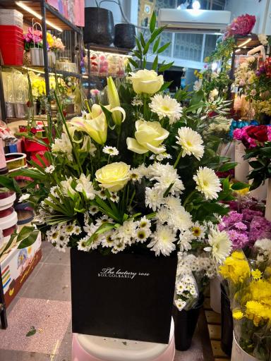 عکس گلسرای خانم گل