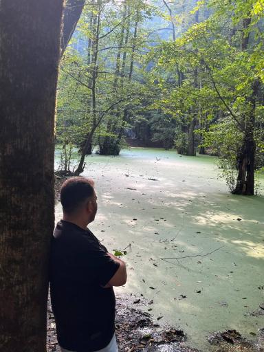 عکس مرداب وربن