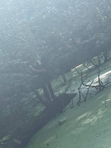 عکس مرداب وربن