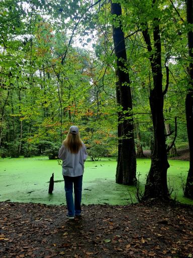 عکس مرداب وربن