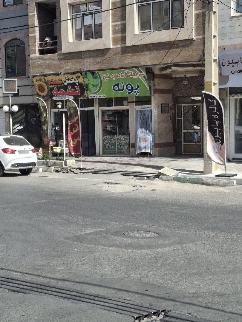 عکس پخش عمده تخمه