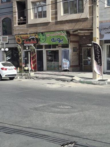 عکس پخش عمده تخمه