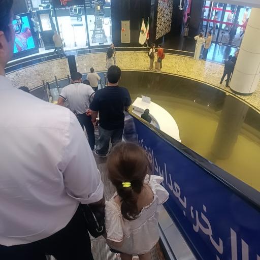 عکس اپال