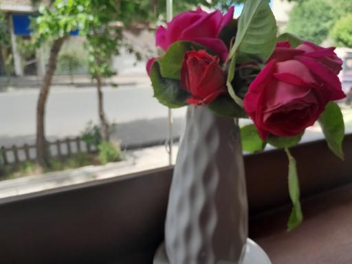 عکس کافه ژیوار