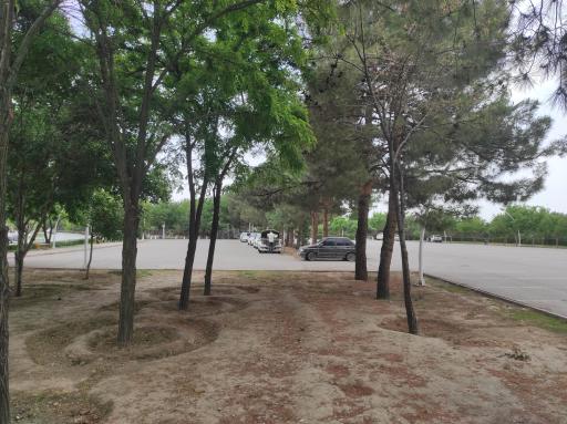 عکس پارکینگ شماره 2 بوستان بهار