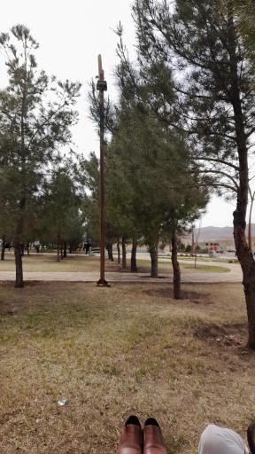 عکس پارک شقایق