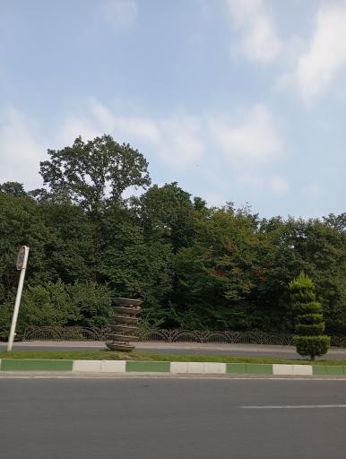 عکس جنگل ناهار خوران