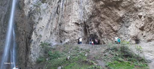 عکس جنگل ناهار خوران