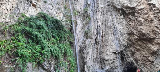 عکس جنگل ناهار خوران