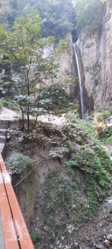 عکس جنگل ناهار خوران