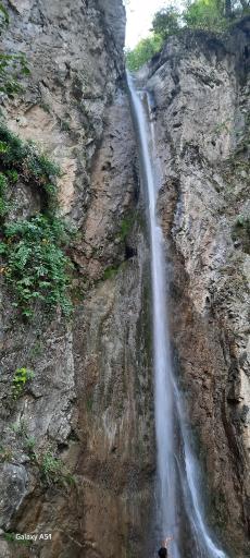 عکس جنگل ناهار خوران