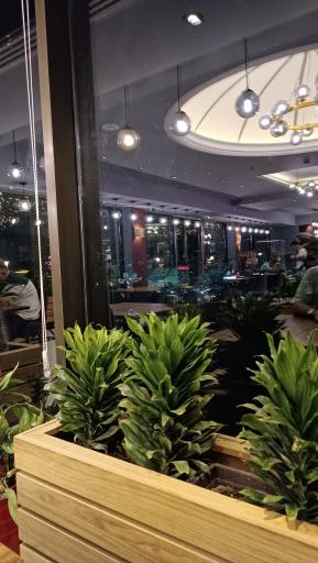 عکس کافه رستوران سایوان