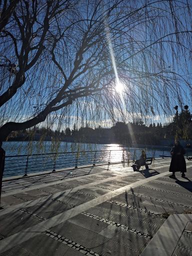 عکس دریاچه هنر