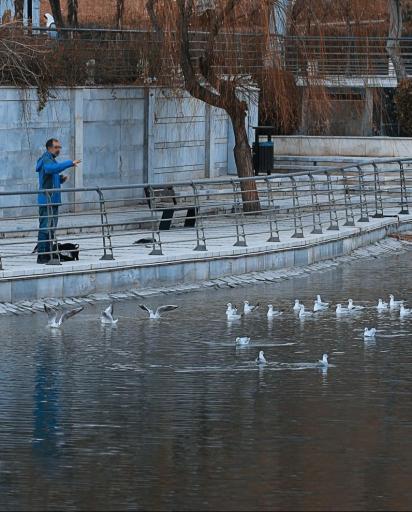 عکس دریاچه هنر