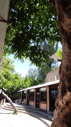 عکس باغ رستوران دورهمی