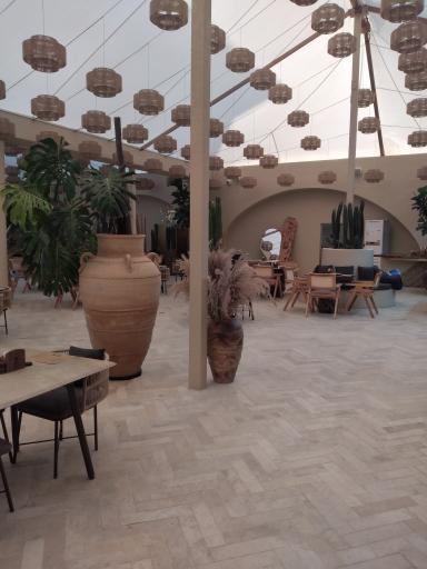 عکس کافه آولی