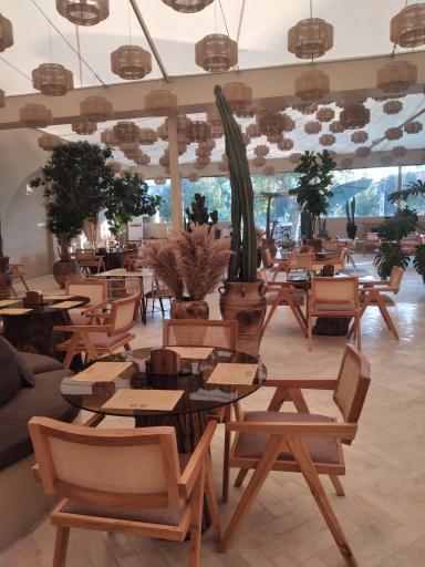 عکس کافه آولی