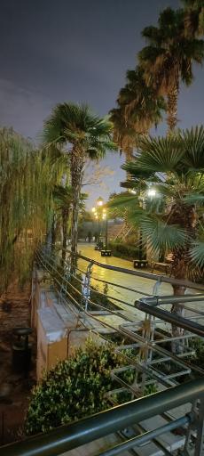 عکس دریاچه هنر