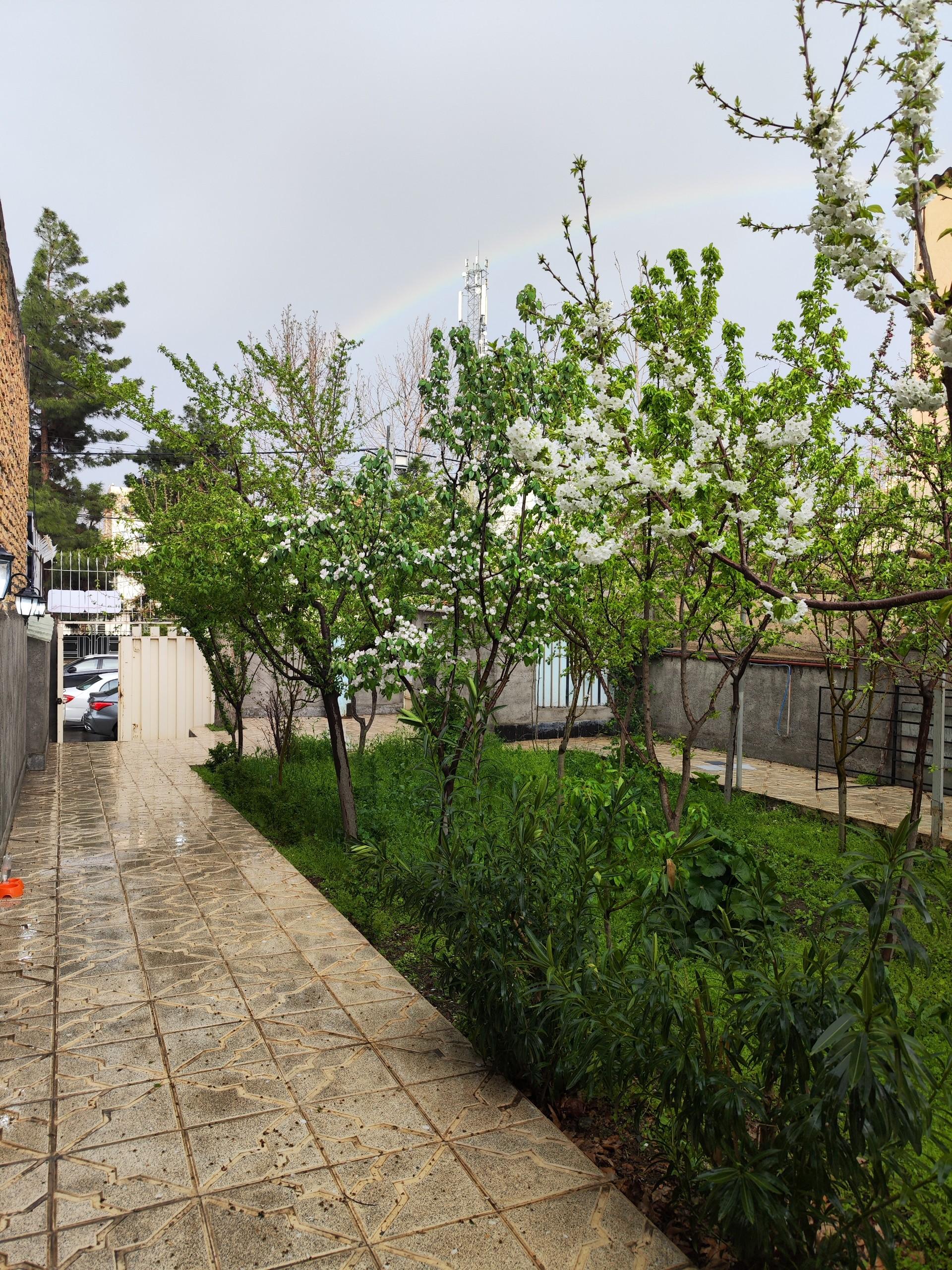 عکس کلینیک دامپزشکی ارگ