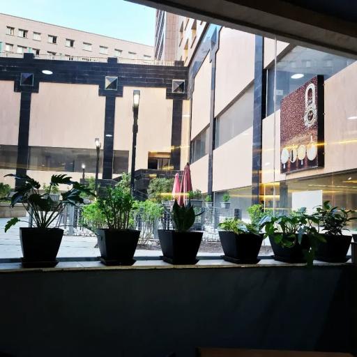 عکس کافی شاپ حیات