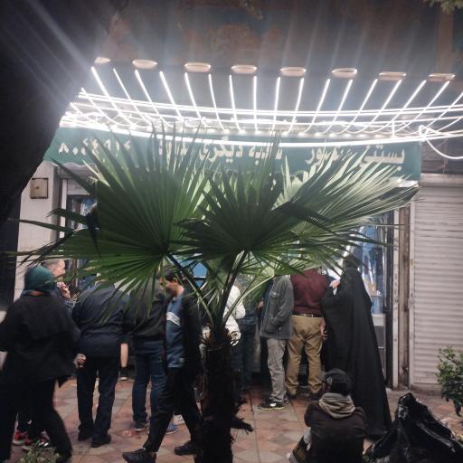 عکس بستنی منصور