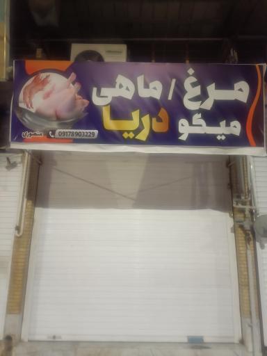 عکس مرغ و ماهی دریا (منصوری)