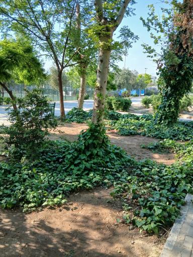 عکس بوستان 15 خرداد