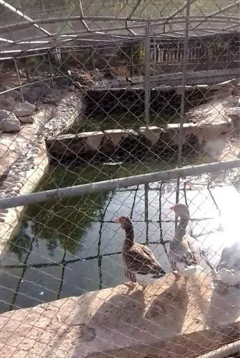 عکس پارک کوه خضر