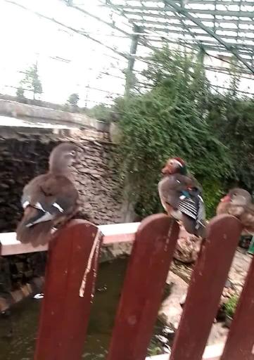 عکس پارک کوه خضر