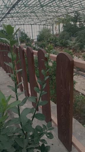 عکس پارک کوه خضر