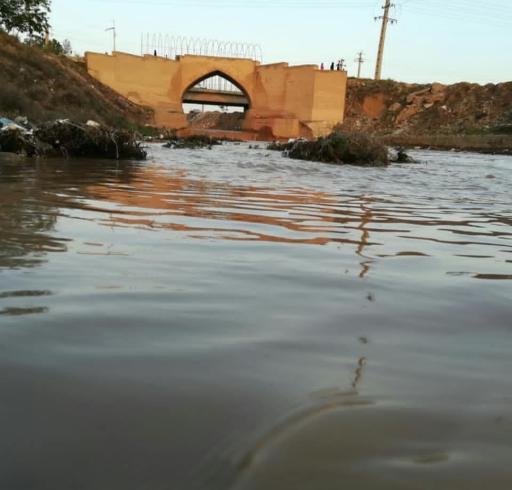 عکس جیتو