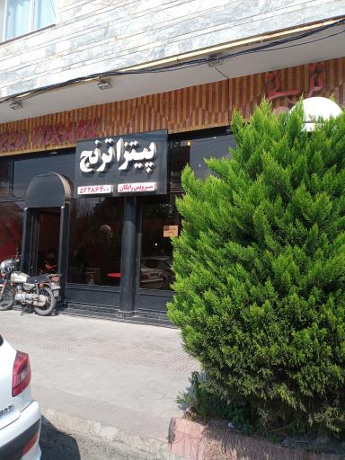 عکس پیتزا ترنج