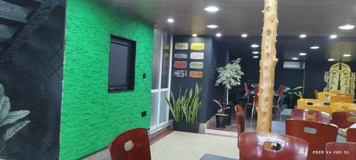 عکس رستوران علی بابا