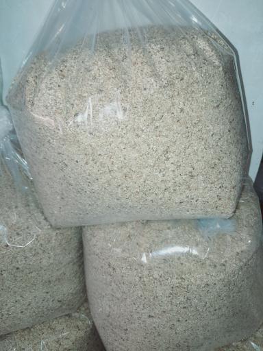 عکس تولید خرما و شیره خرما