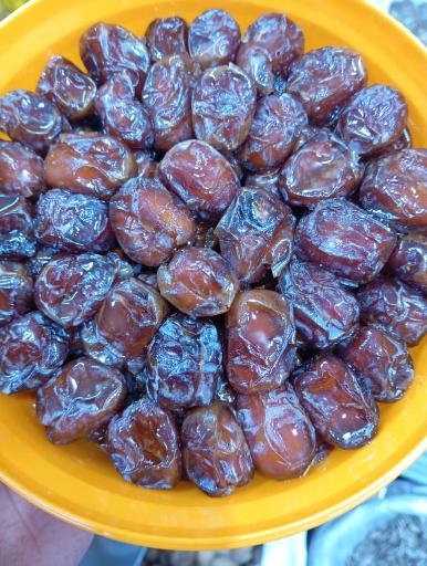 عکس تولید خرما و شیره خرما