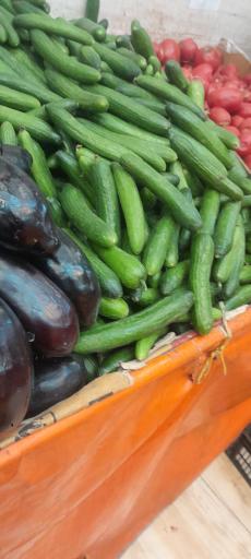 عکس میوه فروشی نظری