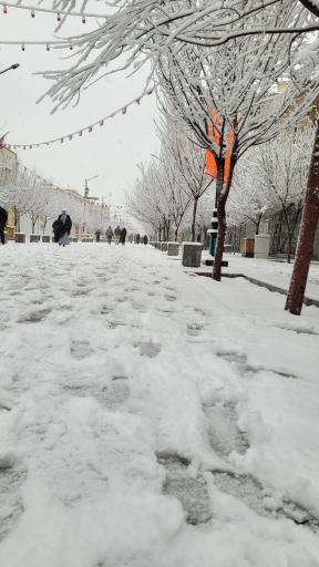 عکس هتل آپارتمان آرش